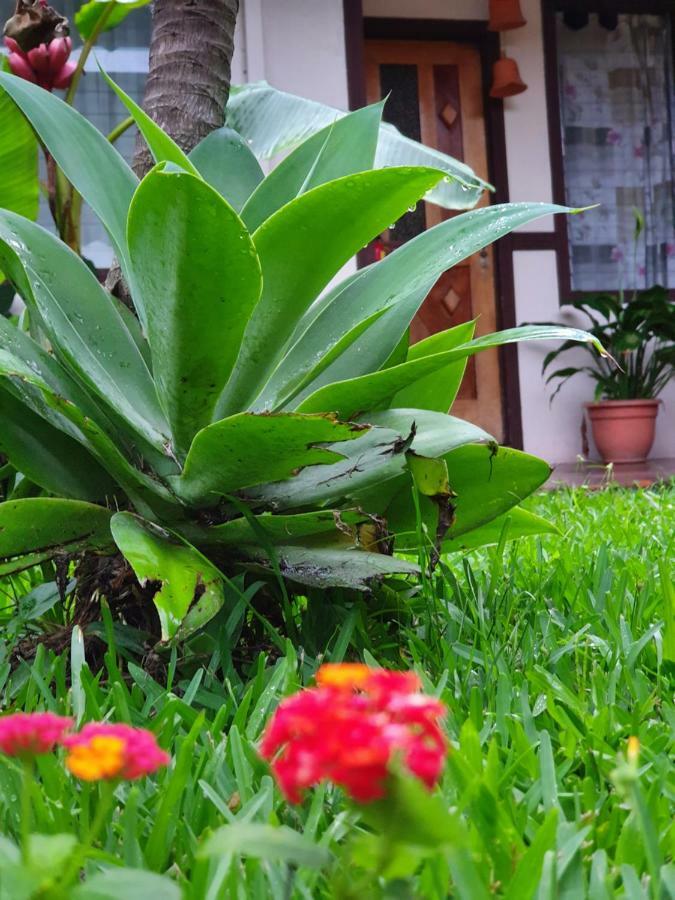 Turrialba Bed & Breakfast Exterior photo