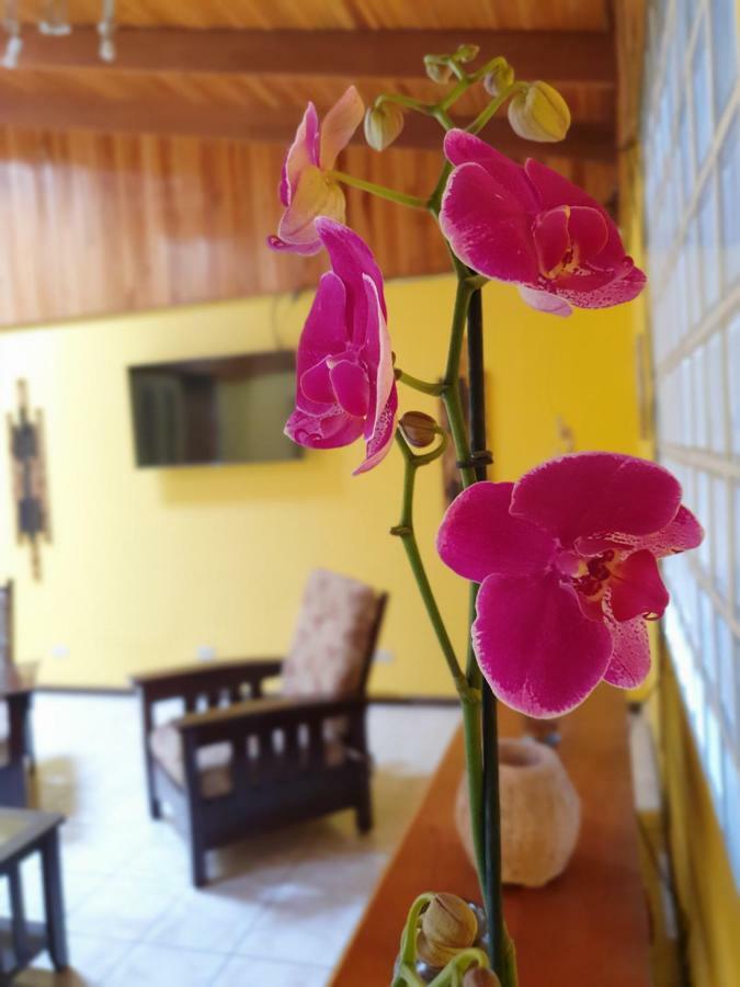 Turrialba Bed & Breakfast Exterior photo