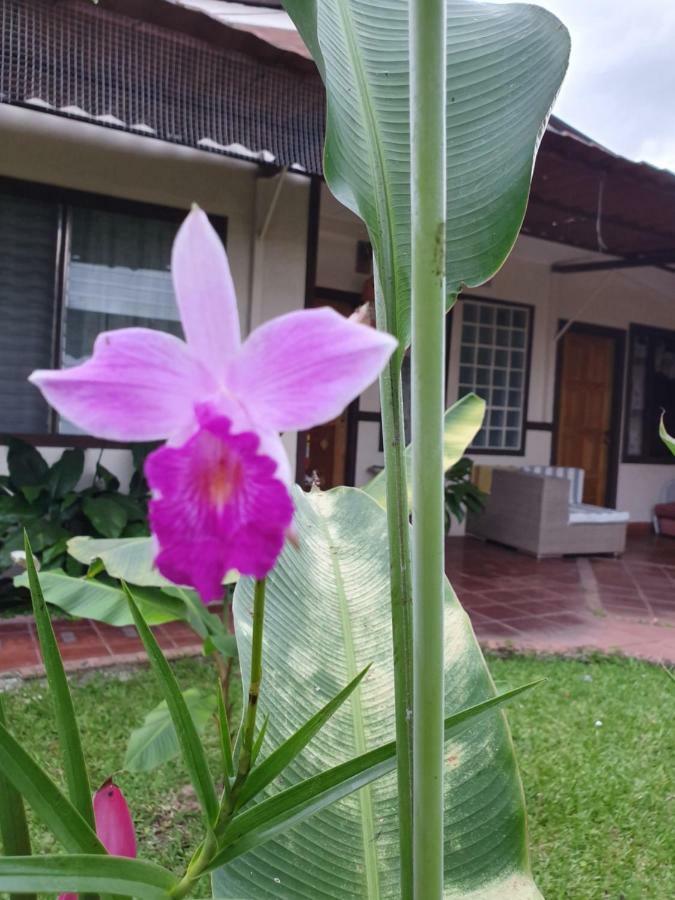 Turrialba Bed & Breakfast Exterior photo