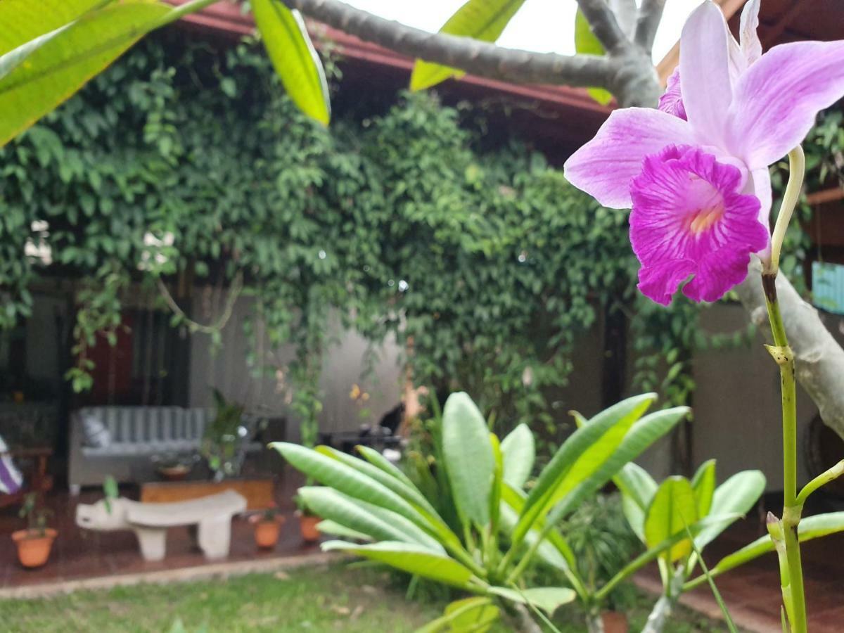 Turrialba Bed & Breakfast Exterior photo