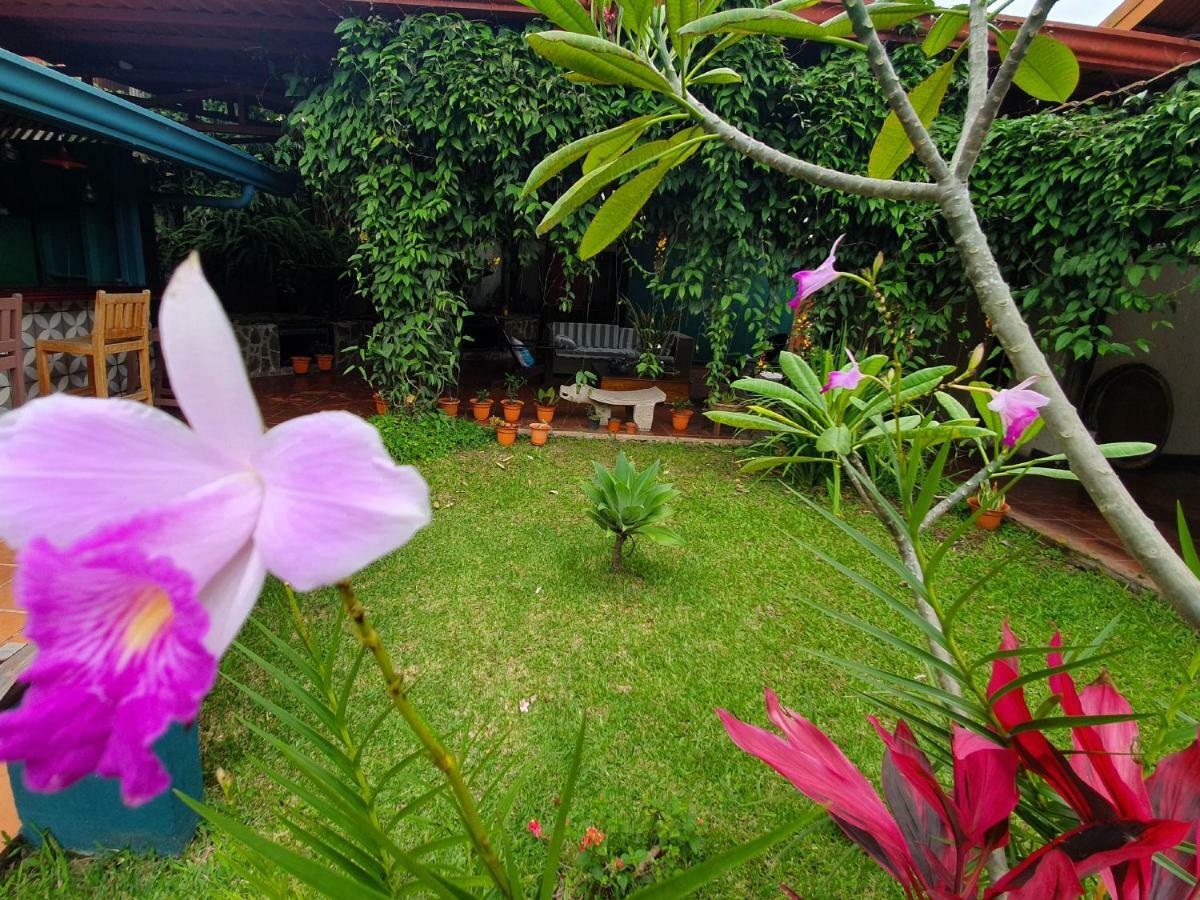 Turrialba Bed & Breakfast Exterior photo